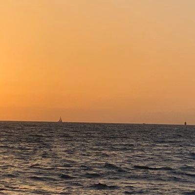 X_Bourdelois's profile picture. 