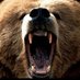 The Bear Biology (Bryan Miesen) (@thebearbio1) Twitter profile photo The Bear Biology (Bryan Miesen) (@thebearbio1) Twitter profile photo