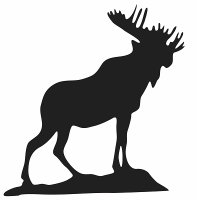 The Moose Fraternity (@moosefraternity) 's Twitter Profile