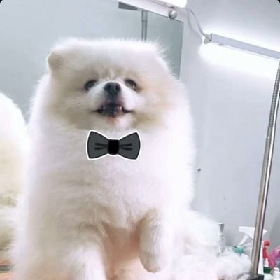 Bar1onKo's profile picture. 