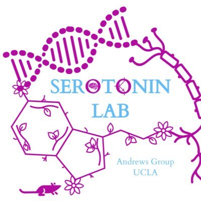 Anne Andrews, Ph.D. Research Group at the University of California, Los Angeles. Developing and using tools to study serotonin in mood and anxiety disorders!