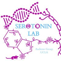 Andrews’ Research Group (@amaserotoninlab) 's Twitter Profile
