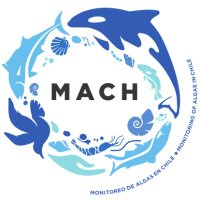 Proyecto MACH (@mach_noticias) 's Twitter Profile Photo Proyecto MACH (@mach_noticias) 's Twitter Profile Photo