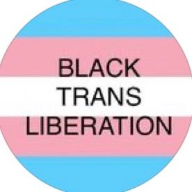Independent direct fundraising for the survival needs of black trans people living with HIV and their community. Venmo is dcblacktranssupportfunds21