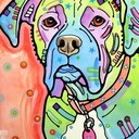 Cynthia Larson - @CJangLarson - Twitter