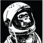 mercman87's profile picture. 