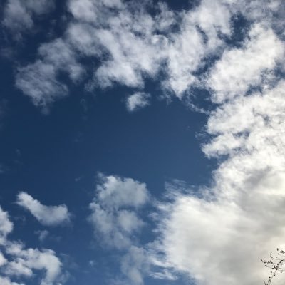 Nissy_univ's profile picture. 阪大に通う大学院生。