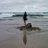 RaquelO52289897's profile image