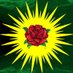Initiative für Frieden in Kurdistan (@ifk_sachsen) Twitter profile photo