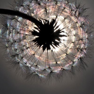 radana16016538's profile picture. "Tož, demokracii už bychom měli. Teď ještě nějaké ty demokraty."