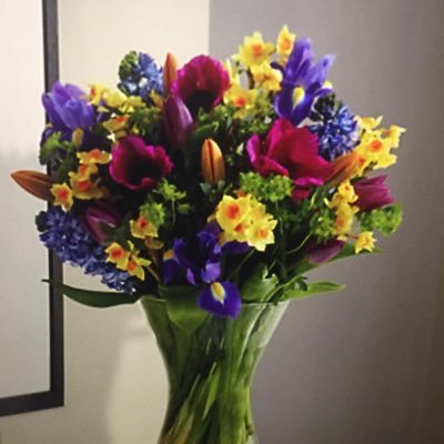 dixiejohnson17's profile picture. 