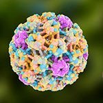 Truth About HPV. 
ReSisting the hegemony of cervical screening.