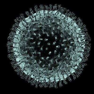 A lot about virology a bit from everything.🦠 Email: SJC.Virology@gmail.com
