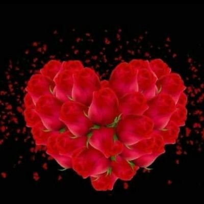الحمد لله رب العالمين حمداً كثيراً طيباً مباركاً فيه💜💜احب المطر ☔ اللي يروي الديار القضيبة 😄
ماجستير 👨🎓 وشاعر في حب الطبيعة💙💚 احب اللون 💛
