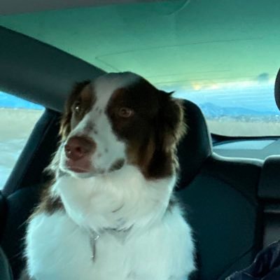 Nuffespresso1's profile picture. 