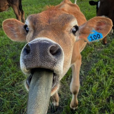 EGreill's profile picture. 