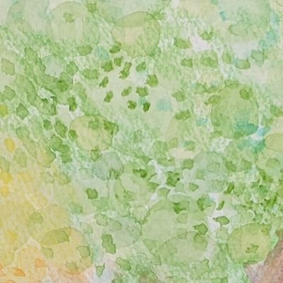 shimika_さんのプロフィール画像