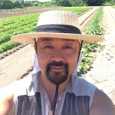 北海道のスイートコーン🌽は別格ですよー😊でも正直、美味くないのもあります。ガッカリした人はウチに来て下さい😋