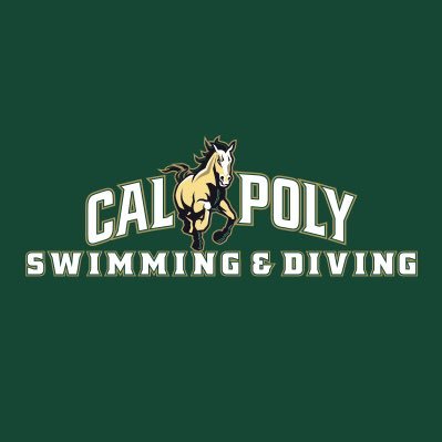 CPSwimDive Profile Picture