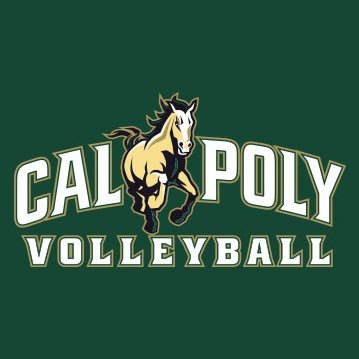 CalPolyVolley Profile Picture