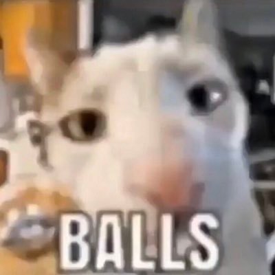 ty75844306's profile picture. 19 yoa male