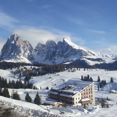 maulea's profile picture. 