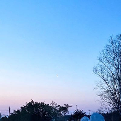 aaaapp709's profile picture. ２０歳以上です もっぱらイデアズです