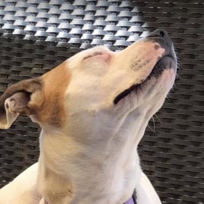 KristineHardy_'s profile picture. Bioinformatican and archaeology student