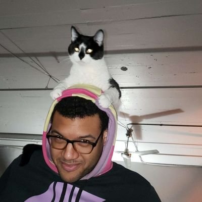 StraightToNell's profile picture. All conspiracies are fake.