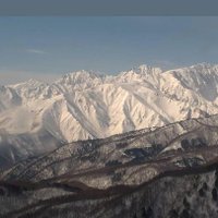 ゆ (@yudai0667) Twitter profile photo