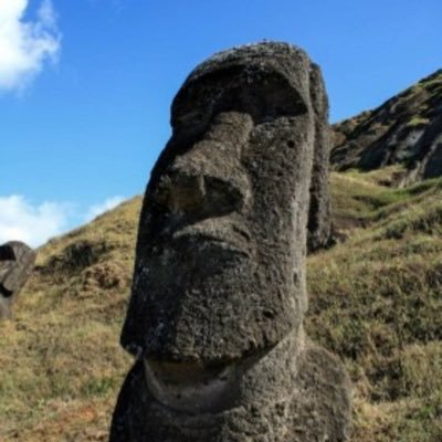 empty_ssk's profile picture. 日本在住日本人