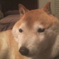 661 (@661nos) 's Twitter Profile Photo 661 (@661nos) 's Twitter Profile Photo