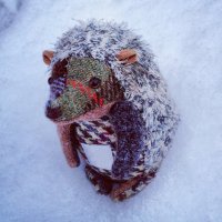 ちゃら (@charra_11) 's Twitter Profile Photo