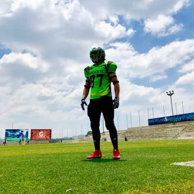 gabrovalla's profile picture. Albañil con título