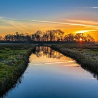 charl van wijck ❤️ Memecoin 💛 DROP (@charlvanwijck) 's Twitter Profile Photo