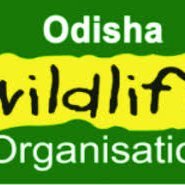 Odisha Wildlife Organisation(@odishawildlife) 's Twitter Profile Photo