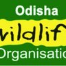 odishawildlife's profile picture. Odisha is naturally the abode of Immense diversity of wildlife. Here is a glimpse of the status of wildlife & programmes of wildlife conservation in the state.