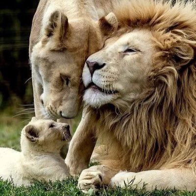 yusufkilic34's profile picture. THE WORLD IS YOURS