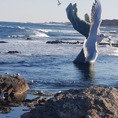 j9feSrdc6MfROJZ's profile picture. 😝😝😝😝😝