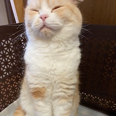 norinori083115's profile picture. 