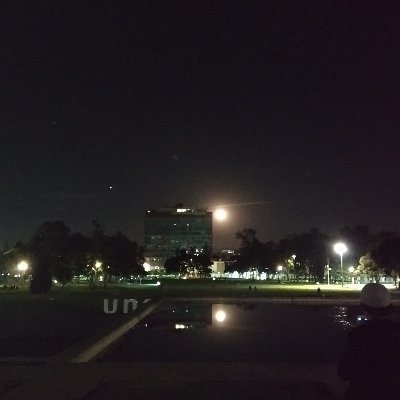 LL0013095's profile picture. 