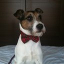 Gemma Maxwell - @gemmaxi - Twitter