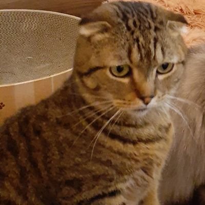 リさんのプロフィール画像