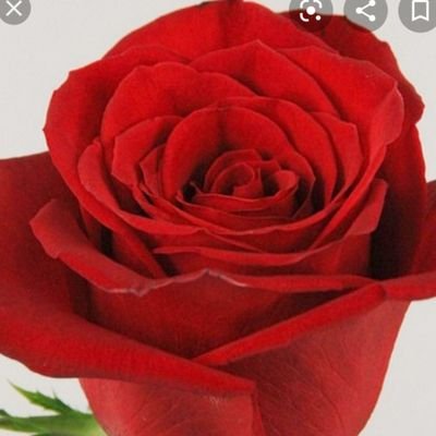 Alikimkr's profile picture. 