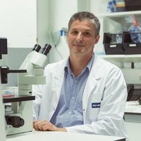Daelemans Lab (@daelemanslab) 's Twitter Profile Photo Daelemans Lab (@daelemanslab) 's Twitter Profile Photo
