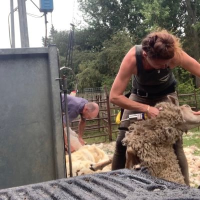 Mum, shepherd, tractor-driving country lass. Happiest outdoors in all weathers...preferably warm and sunny