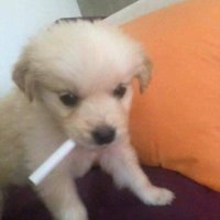 Becks (@becksmeckss) Twitter profile photo