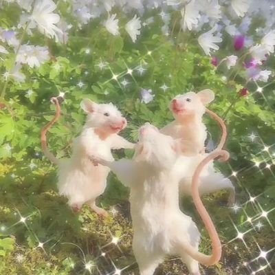 we r le rat house and we r sum mfs who will chum in yalls life