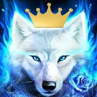 Tekbiez95's profile picture. 