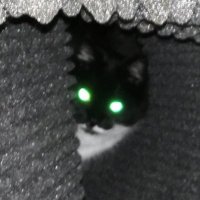 Seppe.WAV (@seppedemeyere) 's Twitter Profile
